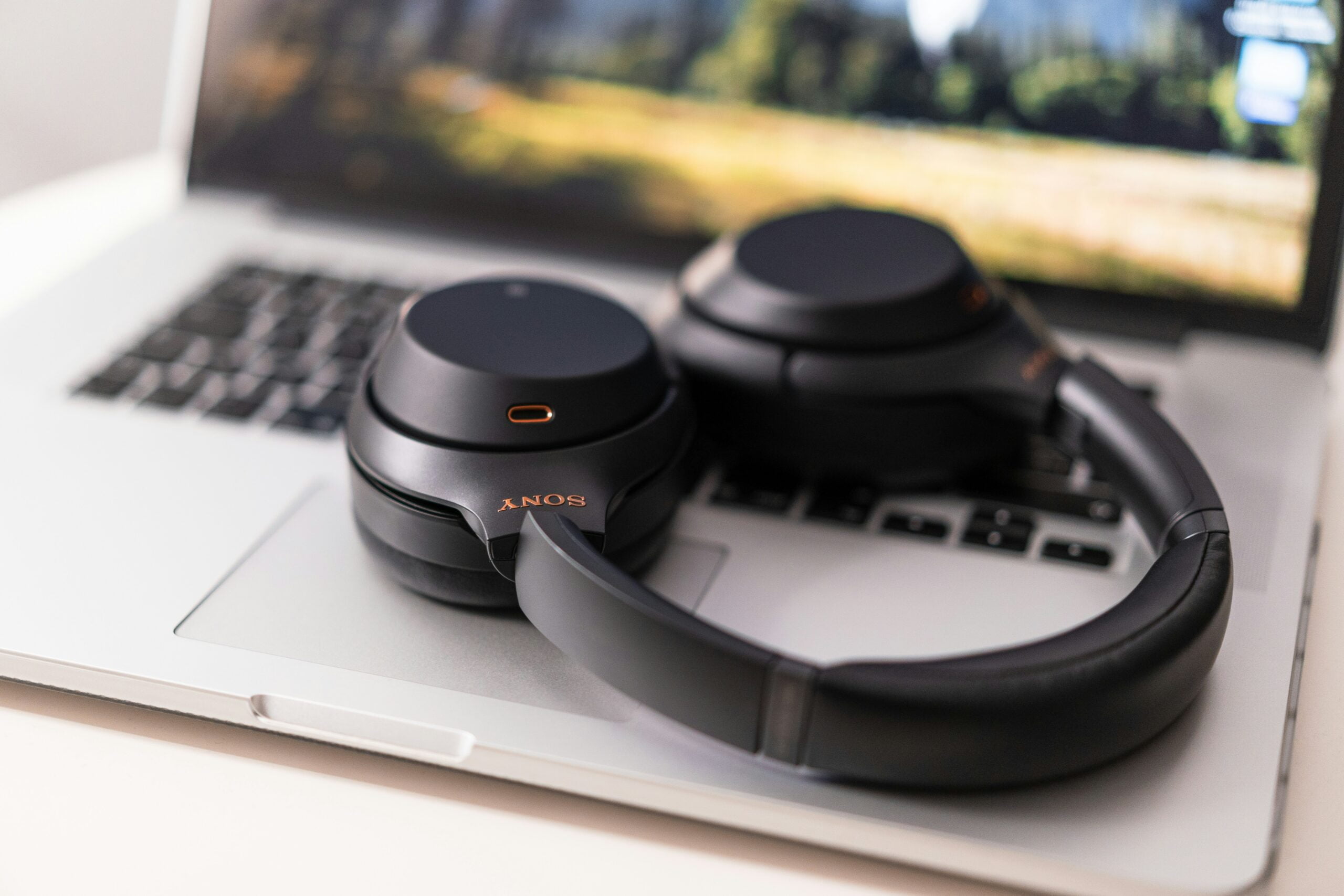black and gray headphones What Are the Best Noise-Cancelling Headphones for Work?
